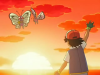 ash_butterfree_dp099.png